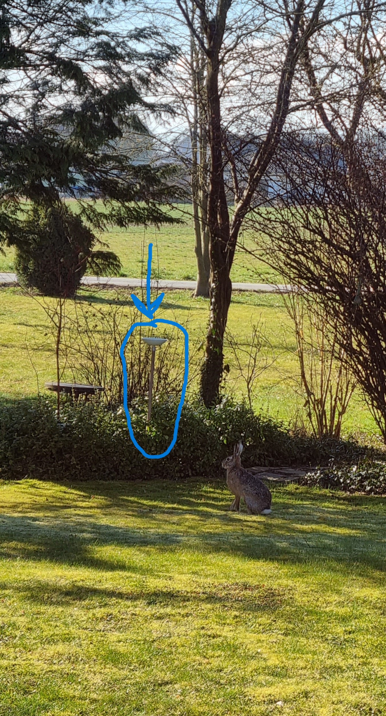 Gardena ClickUp Bird Bath