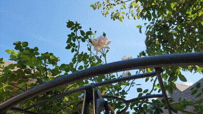 Rope_Sniper — thumbnail 3