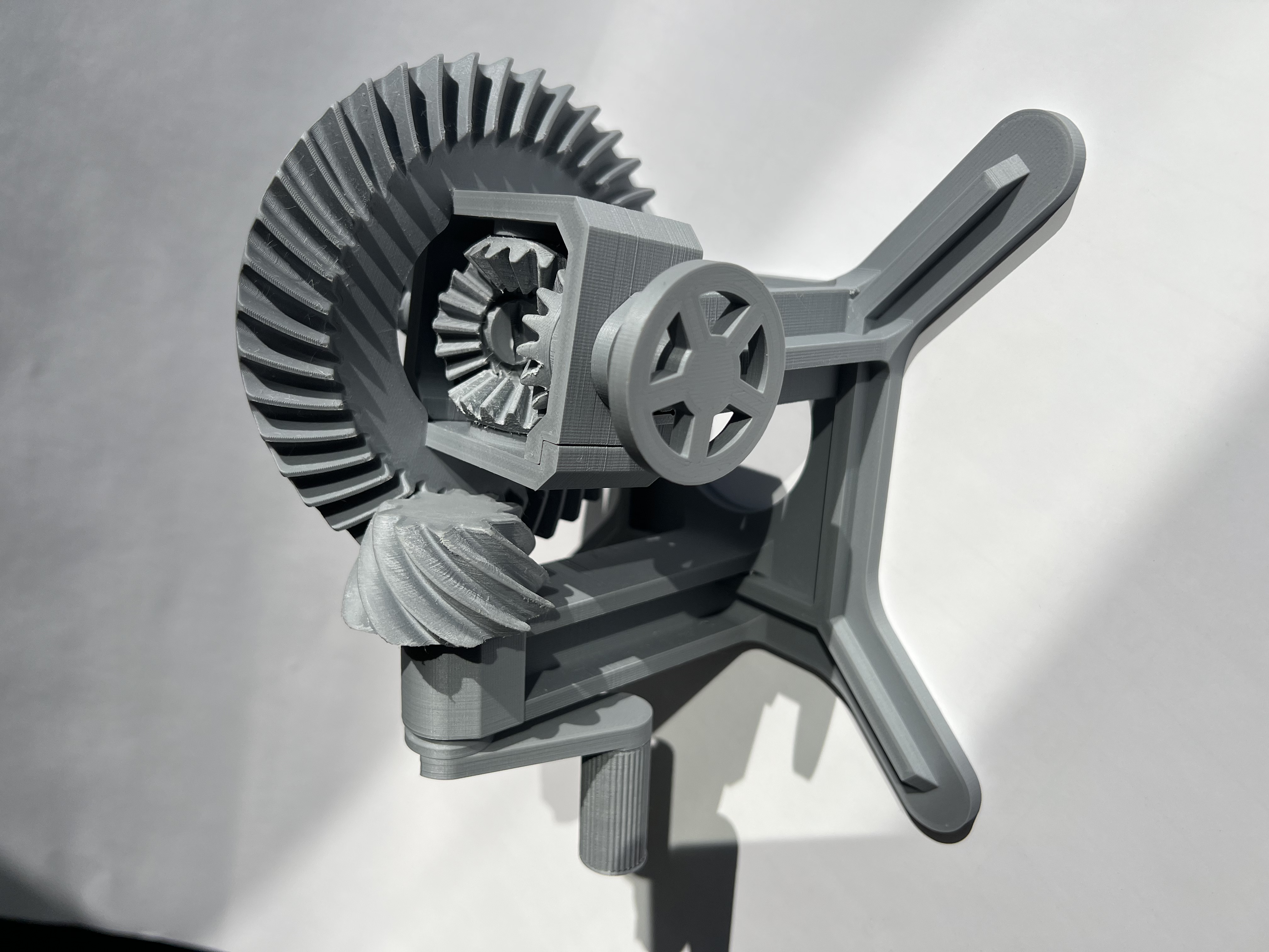 Miniatura 2 do modelo 3D Differential display model