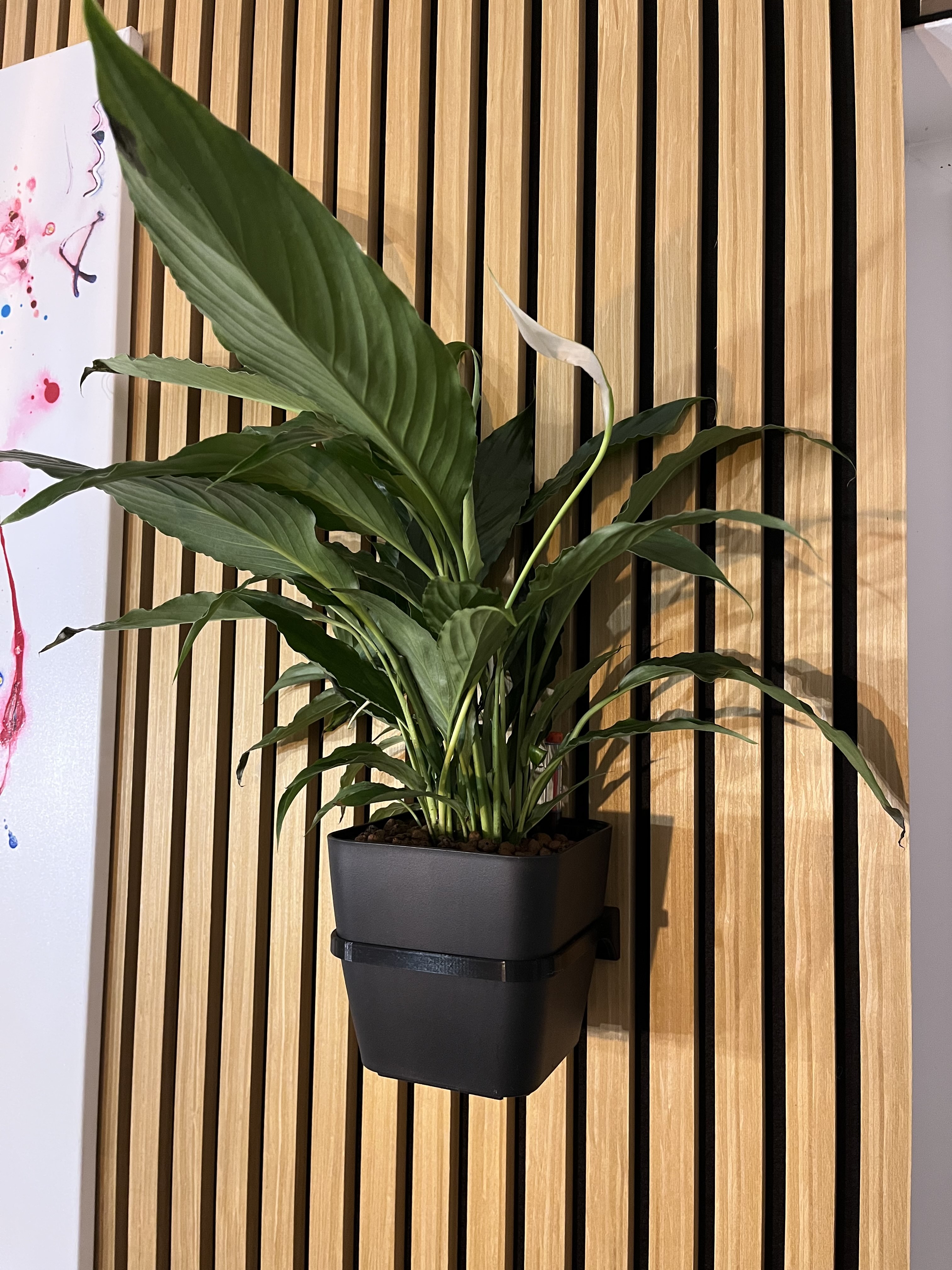 Wall mount for selfwatering plant pots