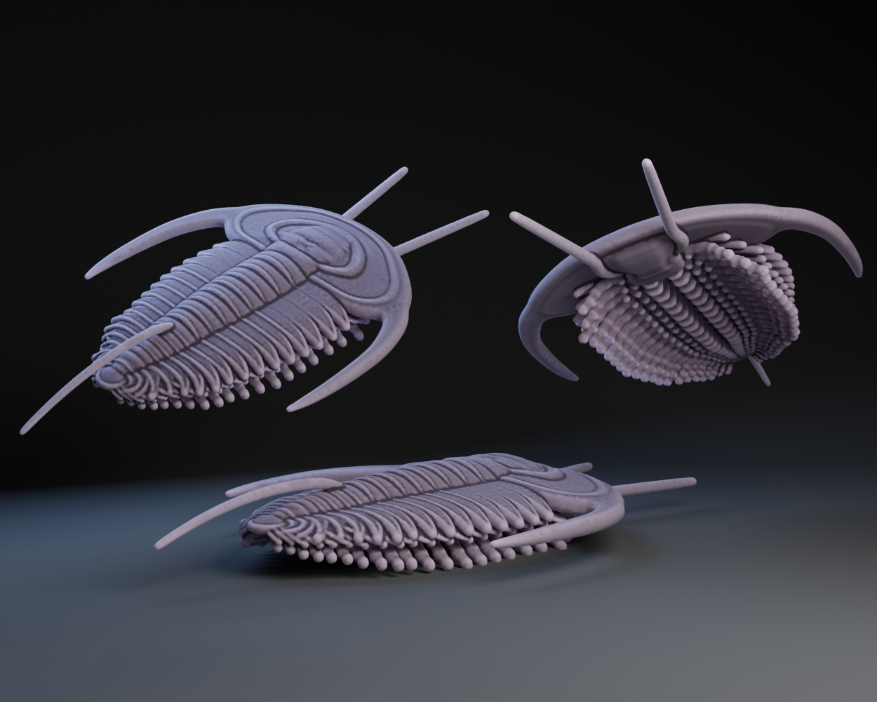 Trilobite