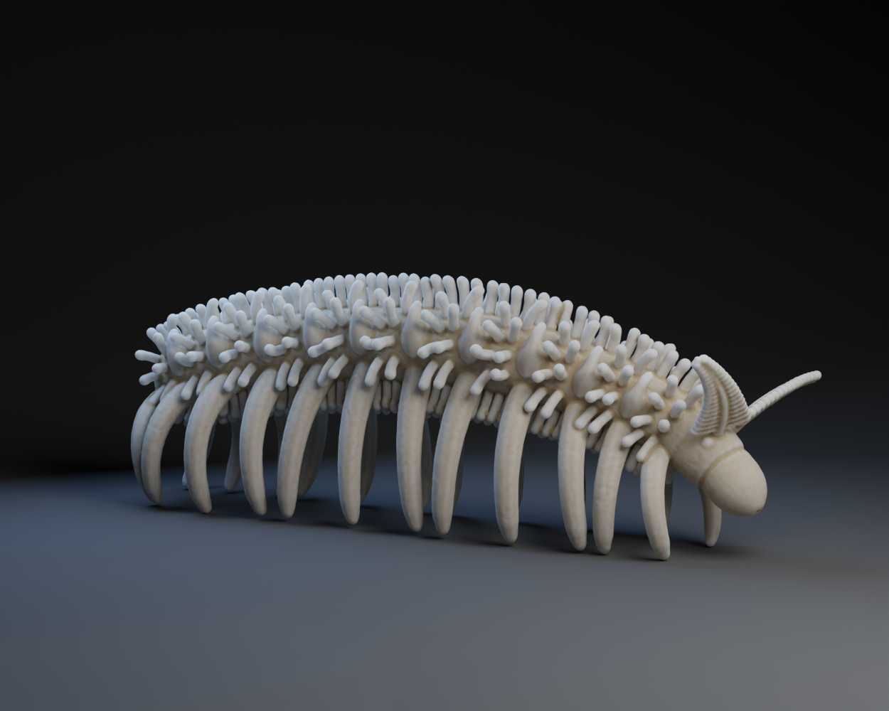 Onychodictyon Ferox