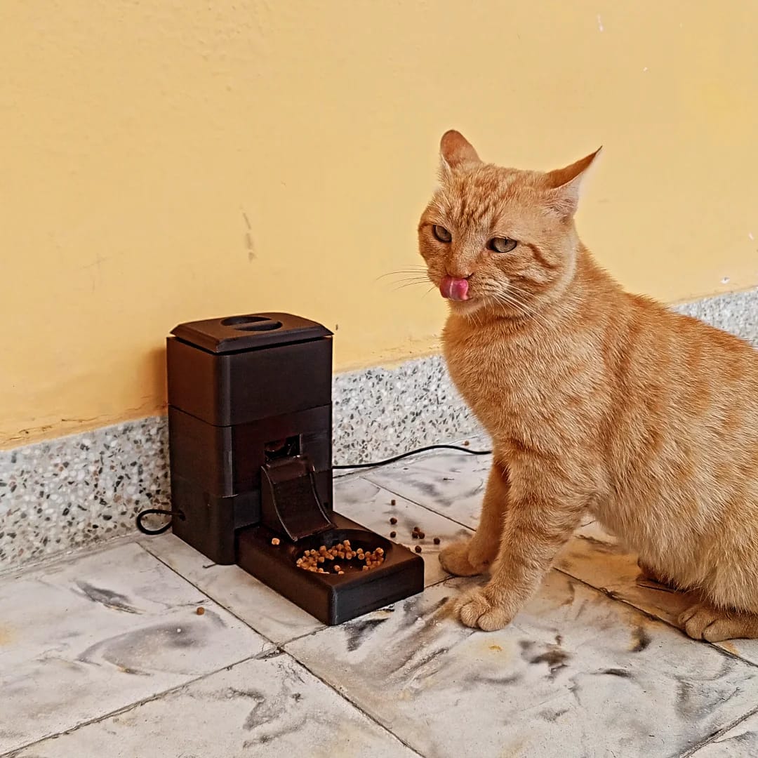 Dispensador Automatico De Alimentos Para Mascotas