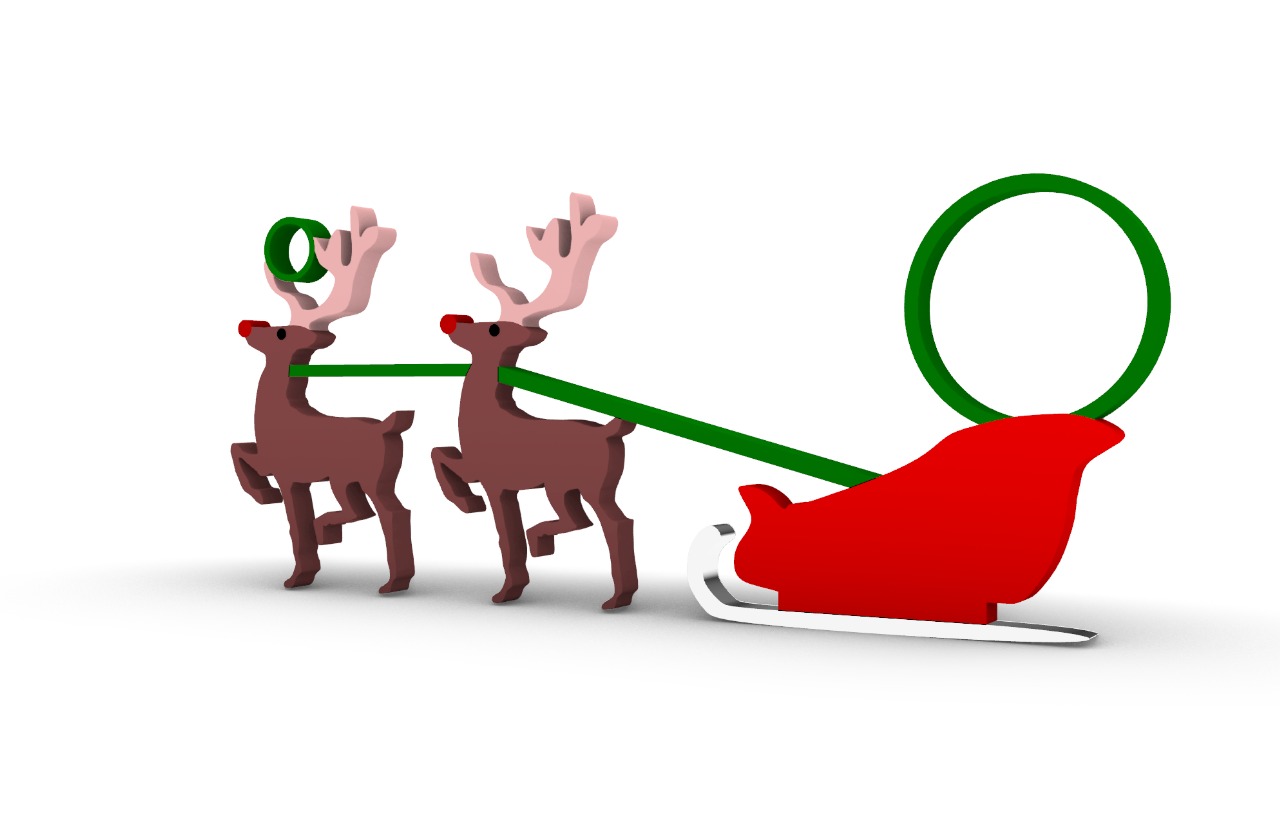 two reindeer one sleigh