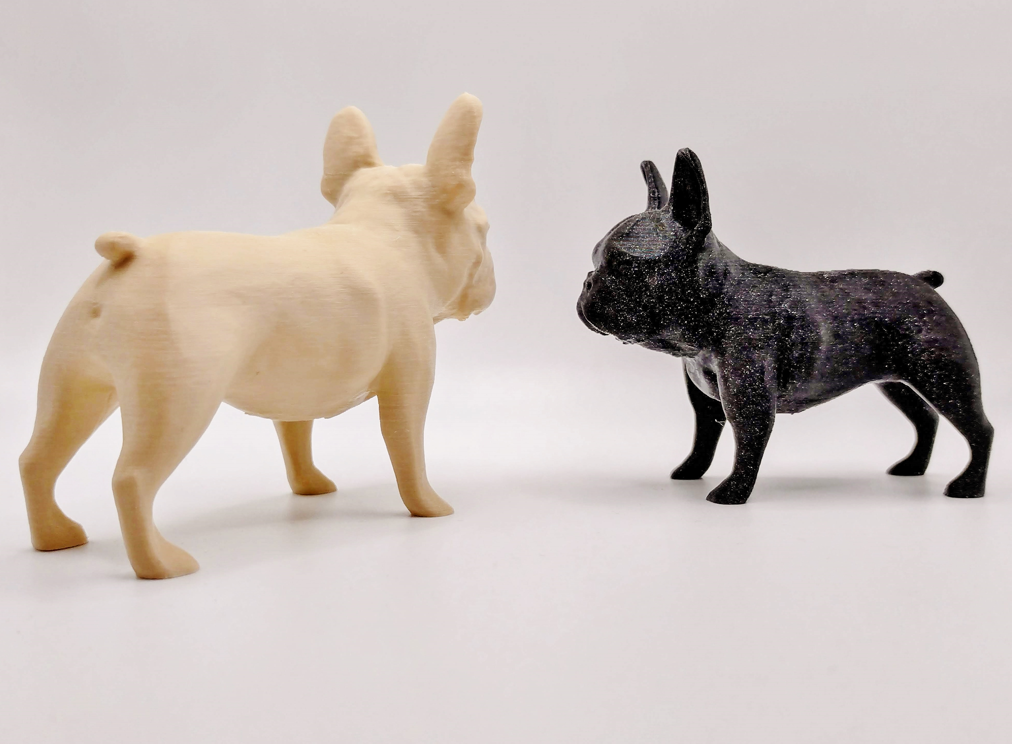 French bulldog