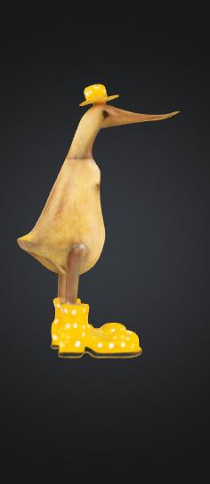 Duck with Shoes