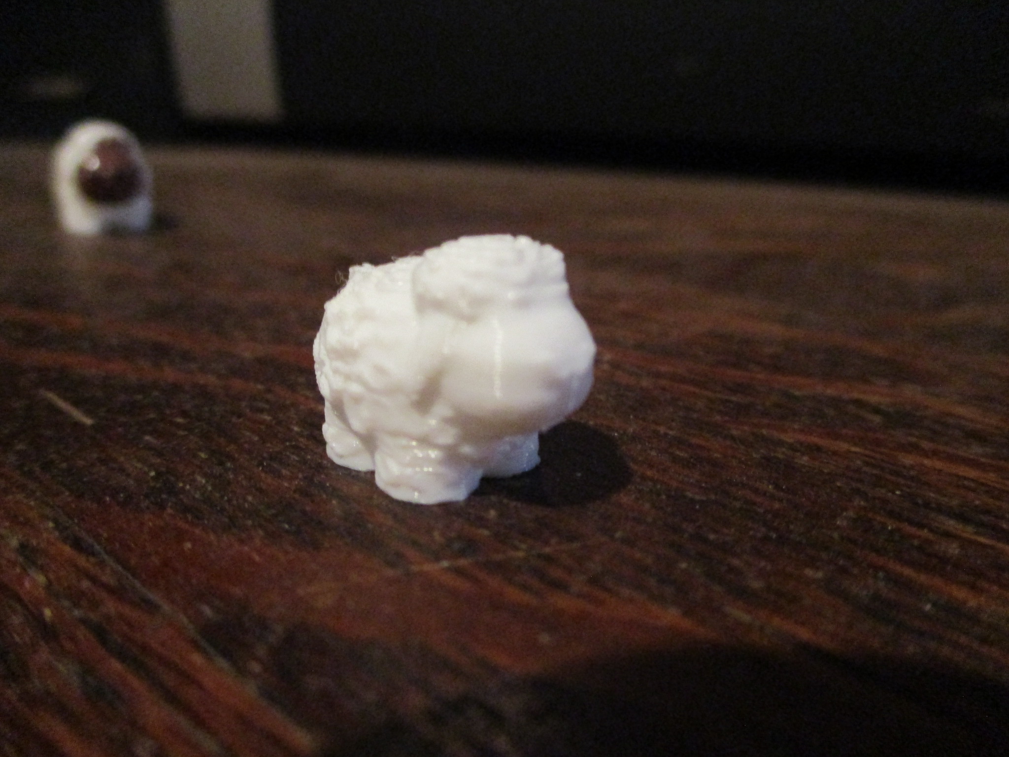 Cute, Tiny Sheep
