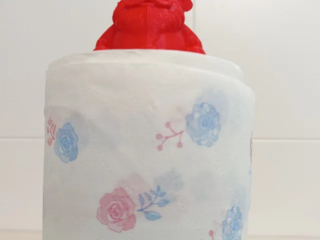 santa toilet paper support