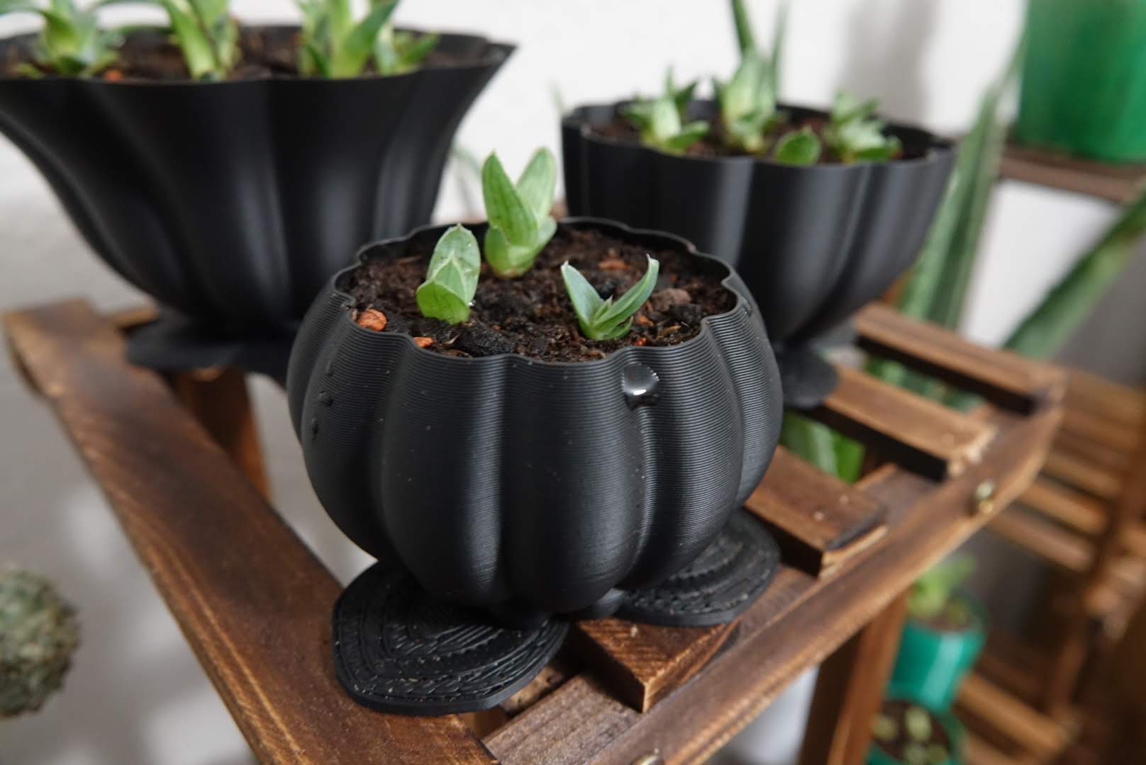Vase Mode Pot Collection - Petal Pots