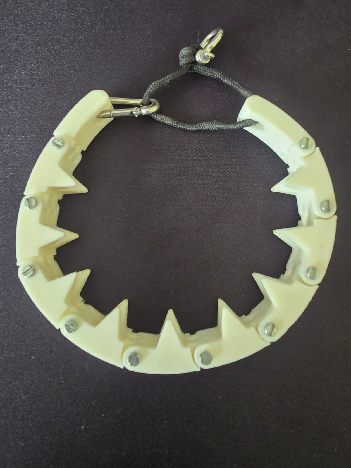 Plastic prong training collar
