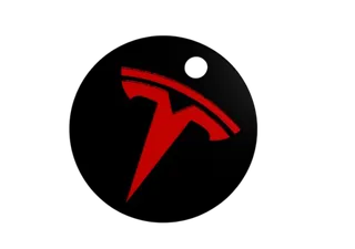 Tesla Keychain