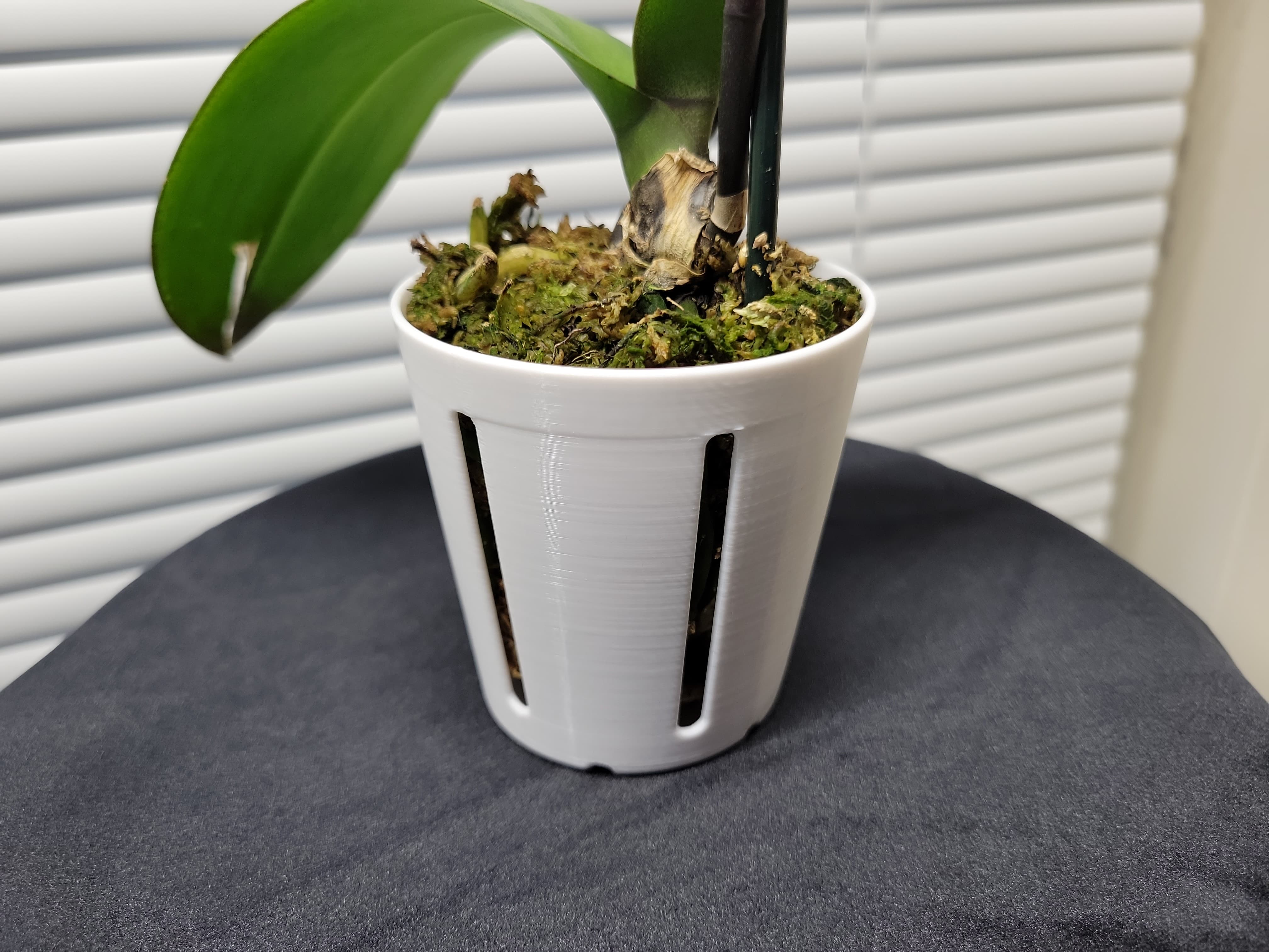 Simple Vented Orchid Pot 75mm