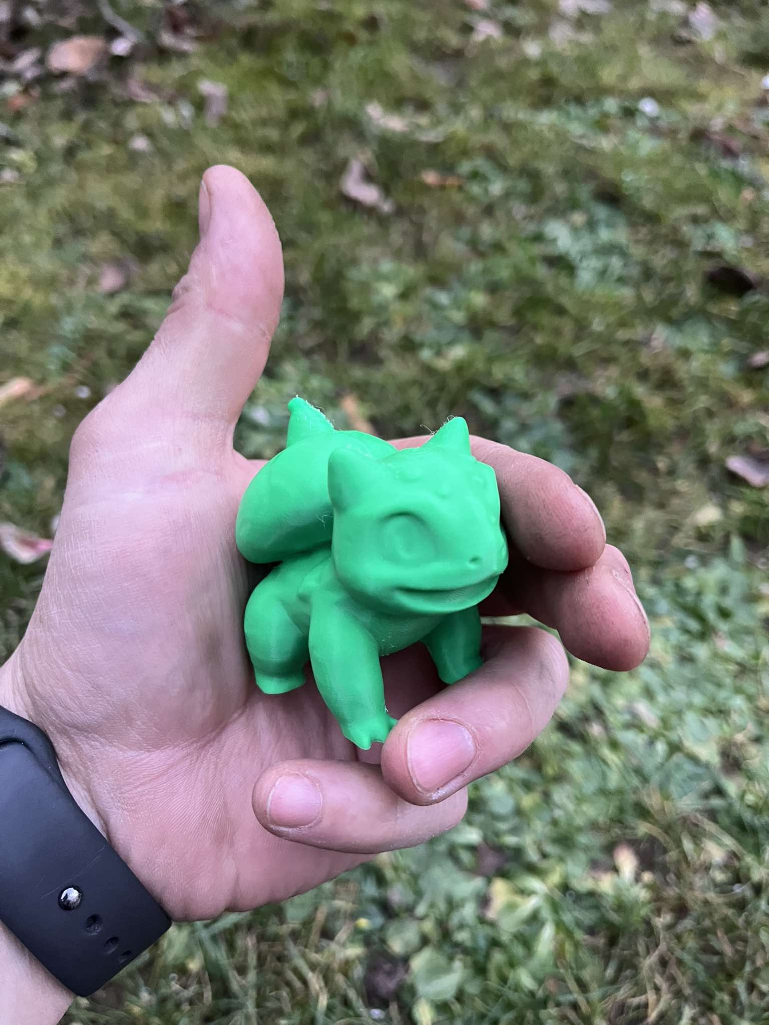 Pokemon Bulbasaur — thumbnail 2