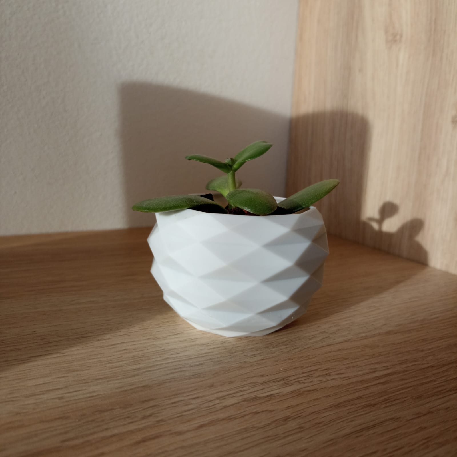 Modern minimalistic vase