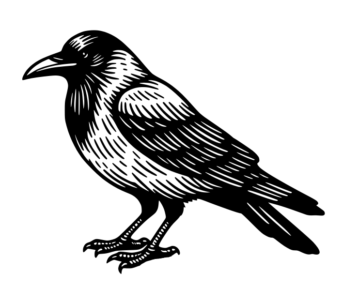 Crows — miniatura 4