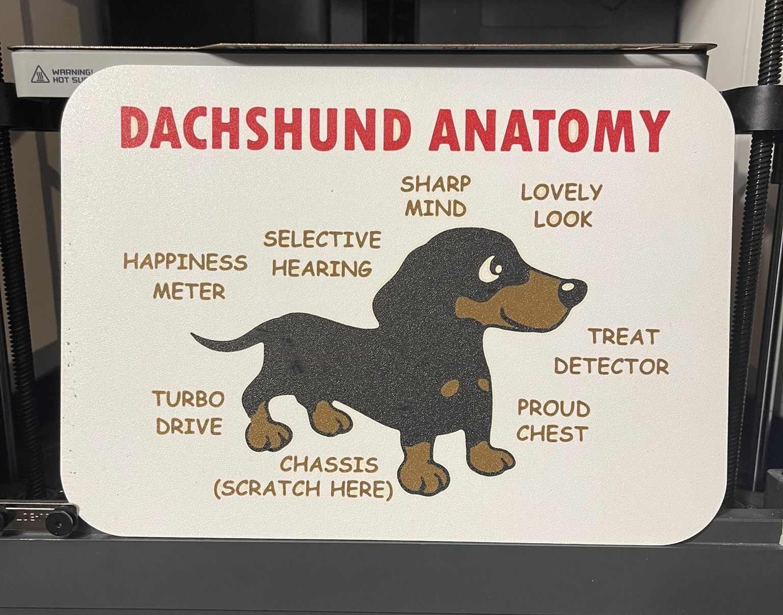 Dachshund Anatomy funny sign