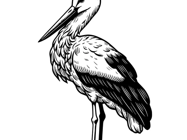 Storks