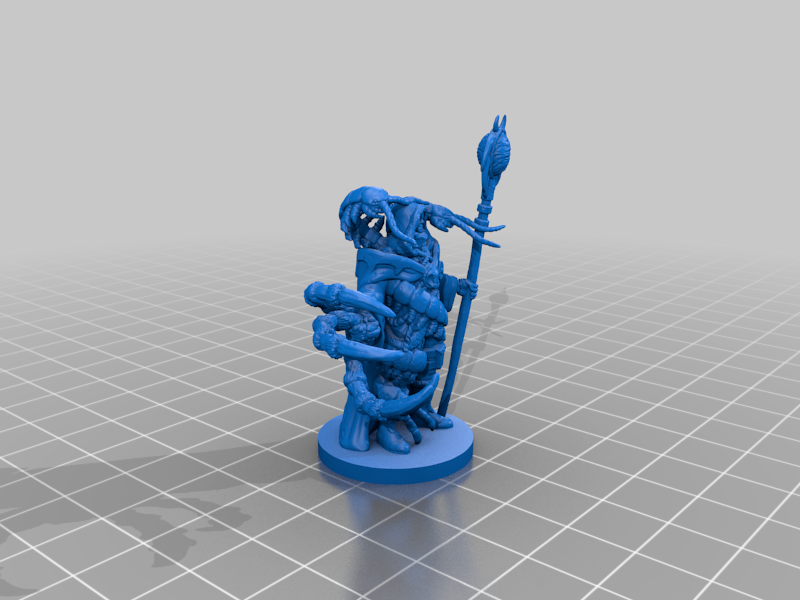 Entomancer by Schlossbauer | Download free STL model | Printables.com