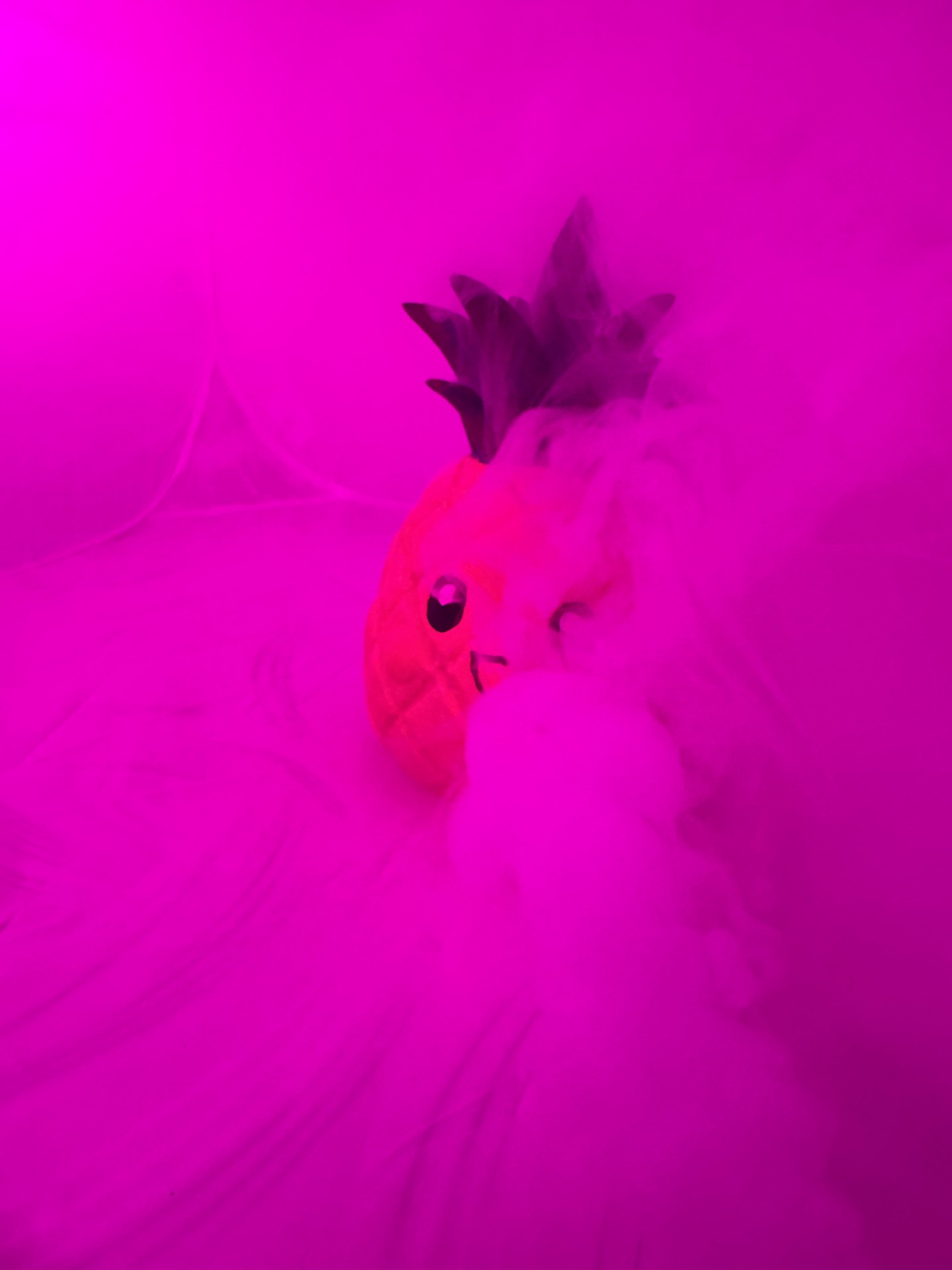 CUTIE_Pineapple — miniatura 3