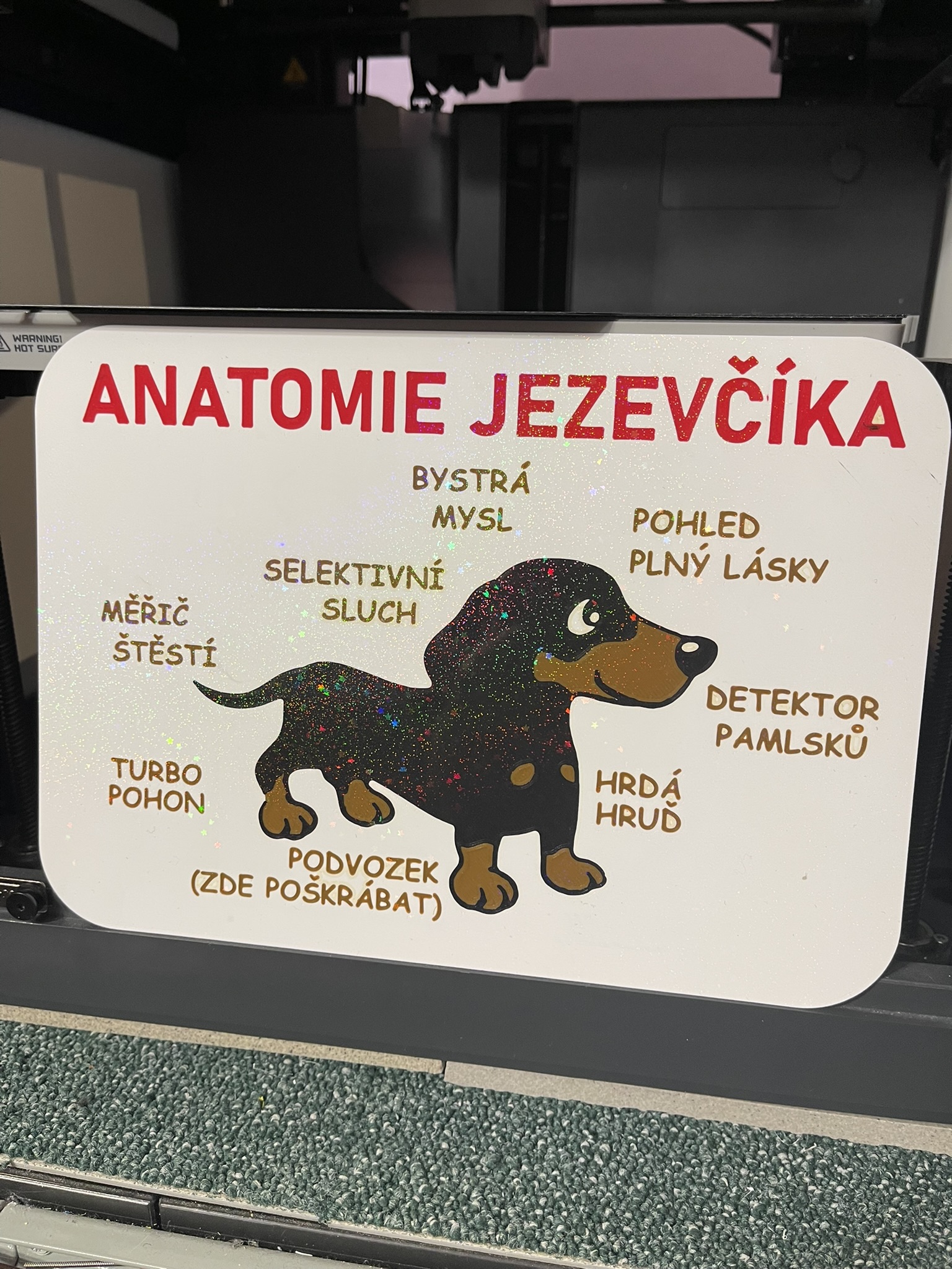 Anatomie jezevcika - cedulka