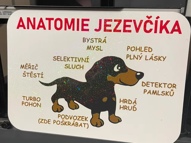 Anatomie jezevcika - cedulka