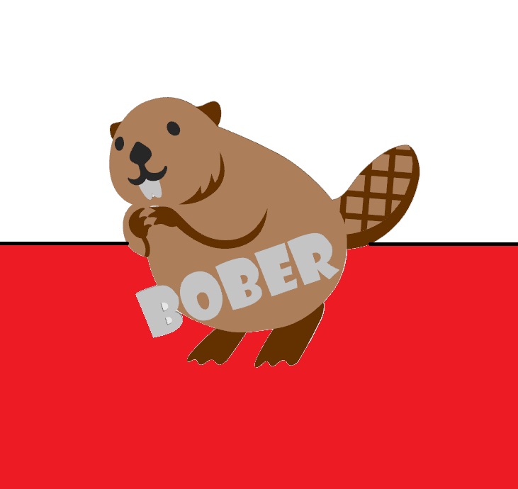 "Bober" - beaver meme fridge magnet