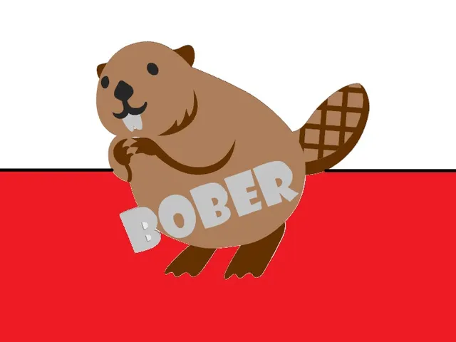 "Bober" - beaver meme fridge magnet
