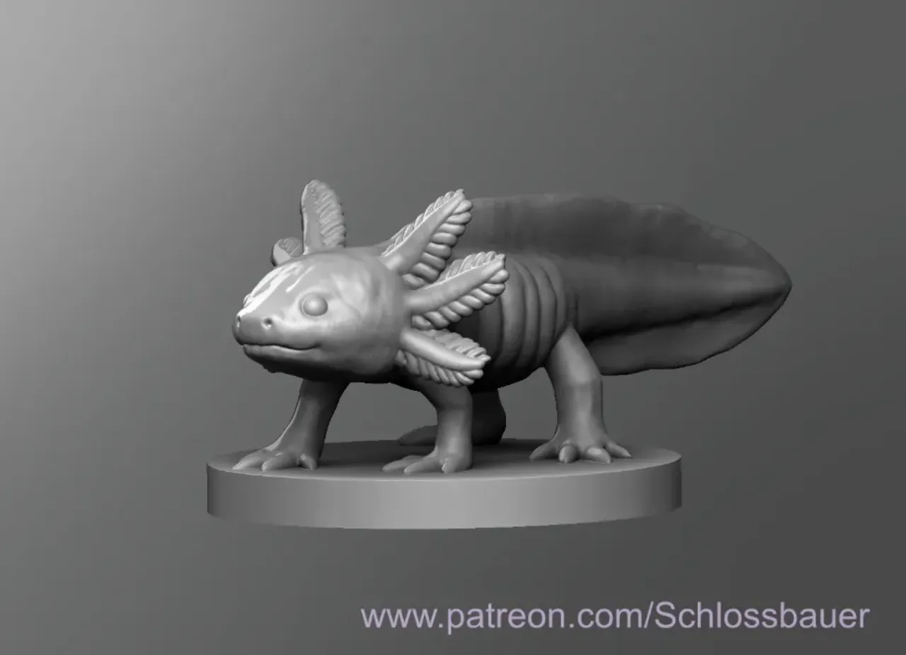 Axolotl, Ajolote, Ambystoma Mexicanum 3D CAD Model Library, 55% OFF