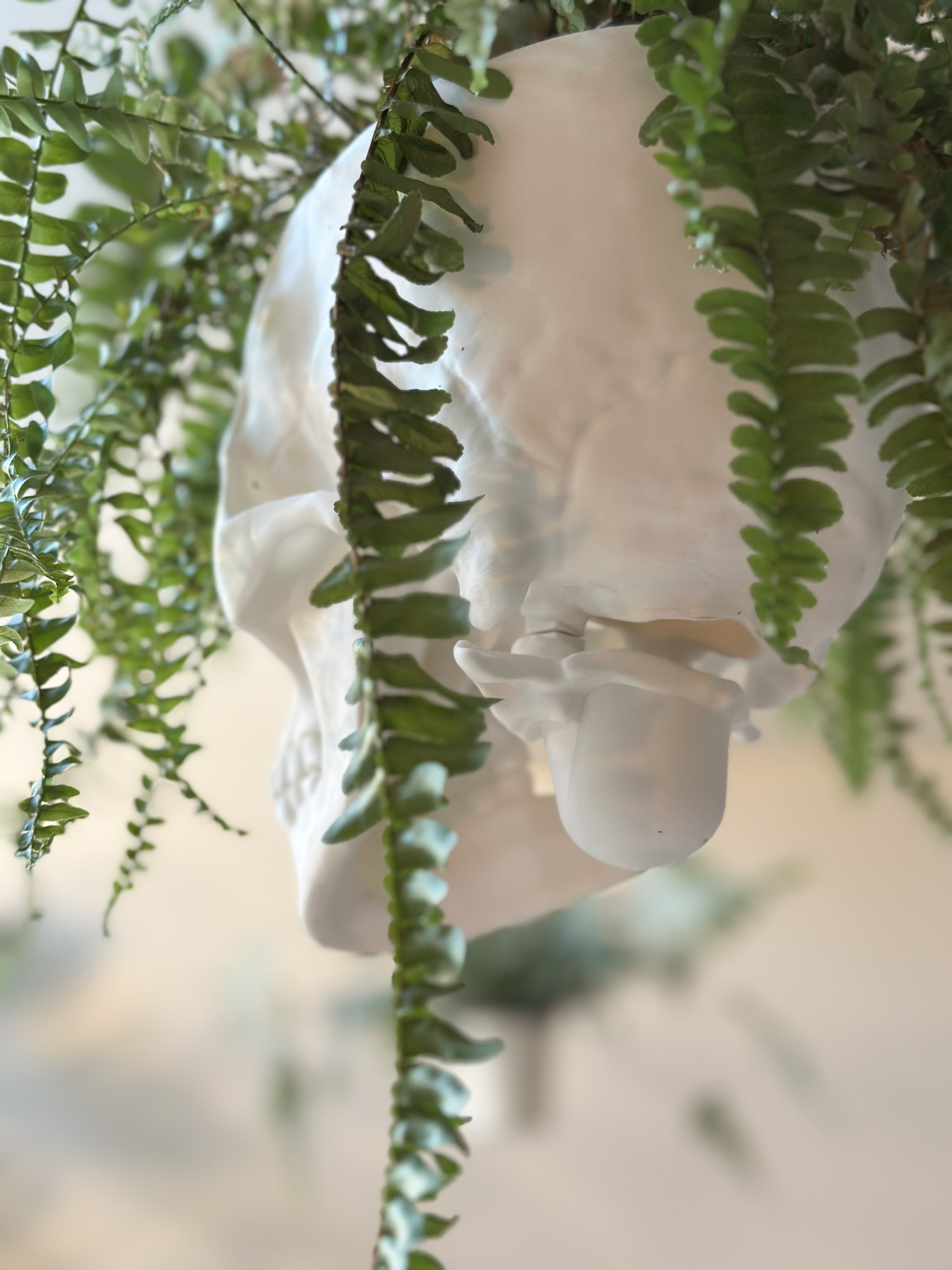 Miniatura 3 do modelo 3D Human Skull Hang Planter