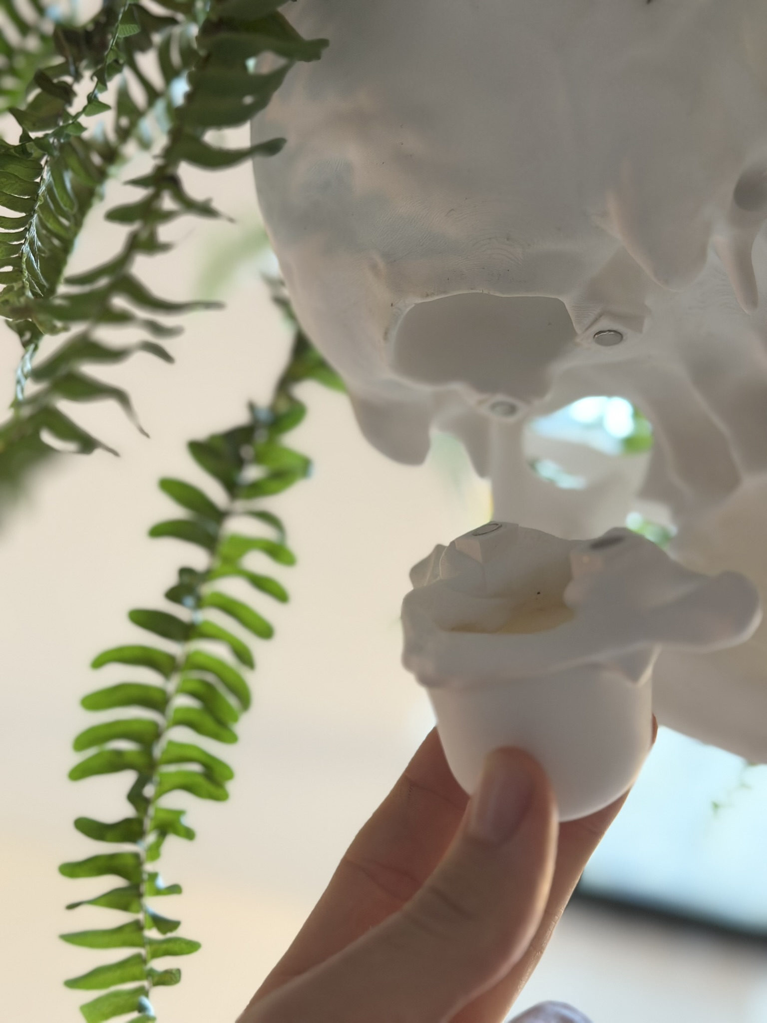 Miniatura 4 do modelo 3D Human Skull Hang Planter