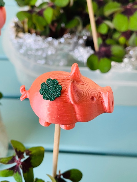 shamrock // Kleeblatt for lucky pig