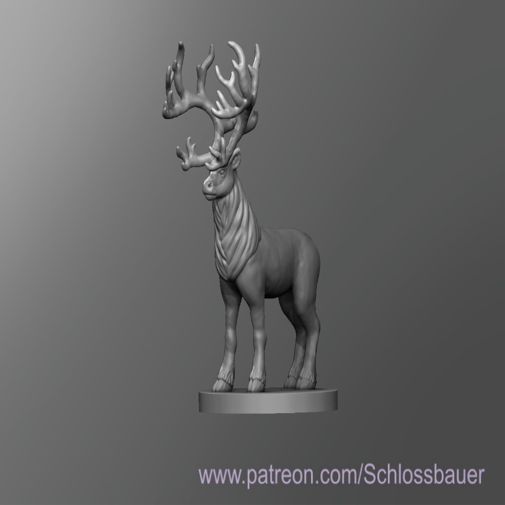 Reindeer