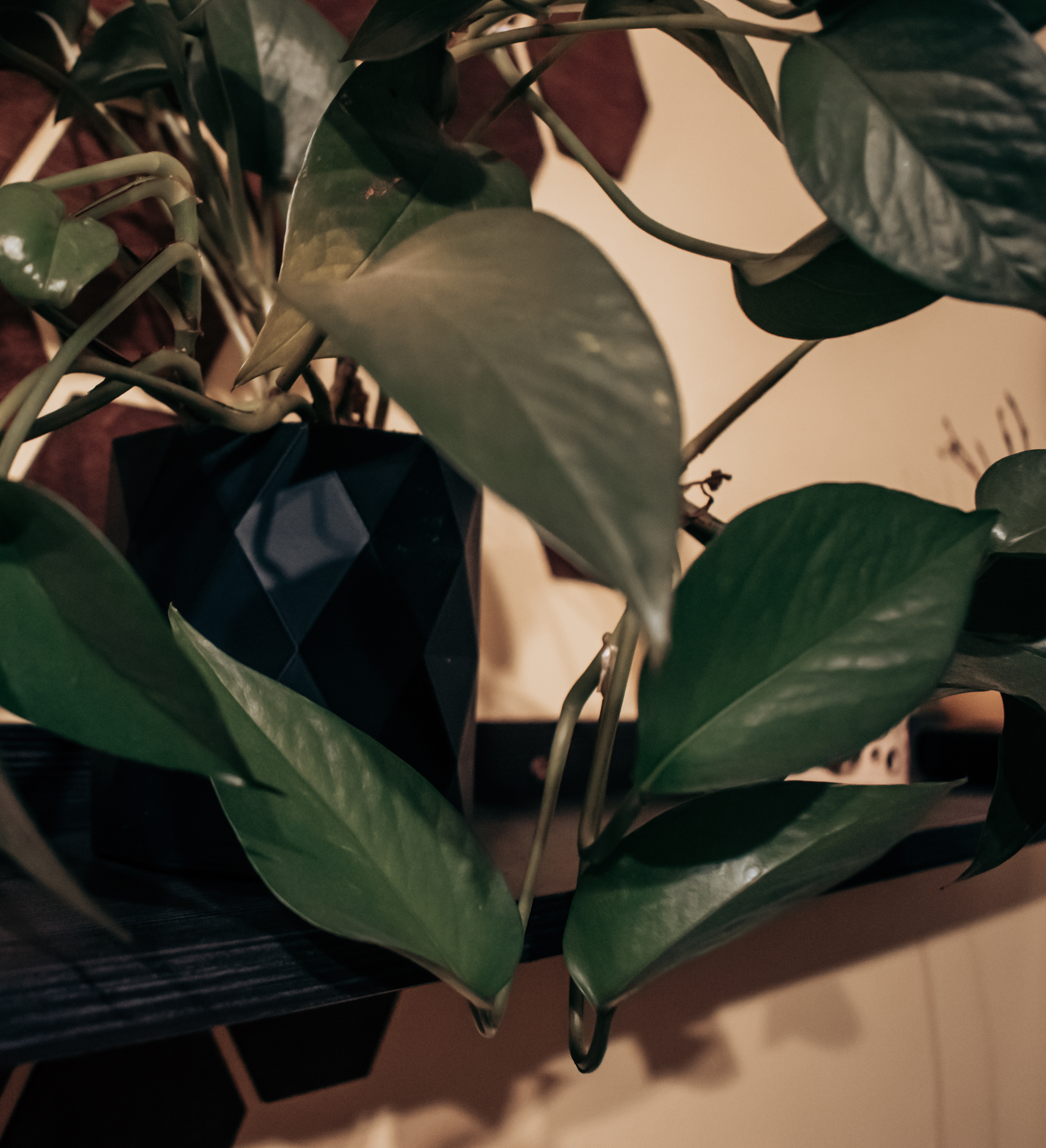 flowerpot — thumbnail 3