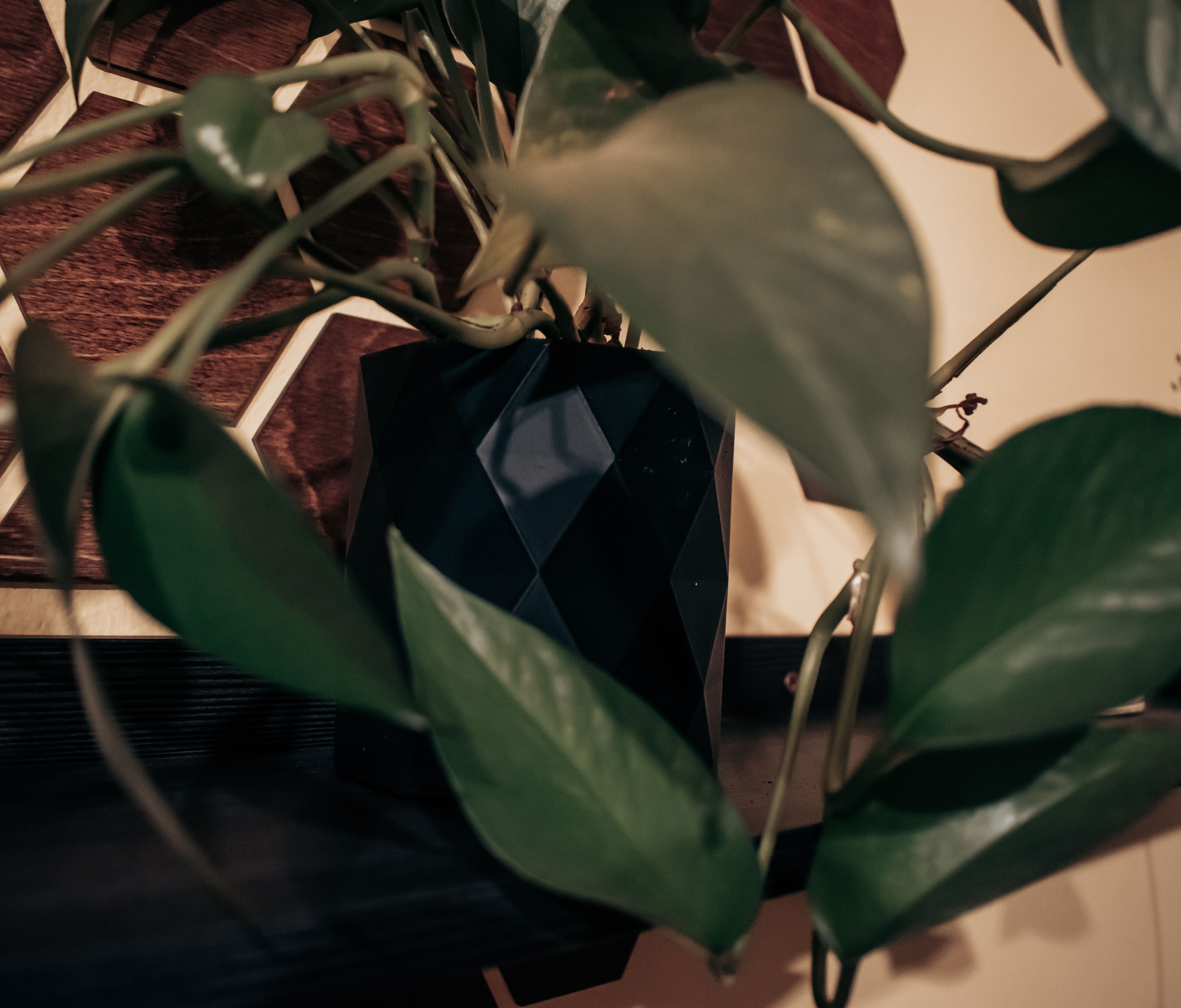 flowerpot — thumbnail 5