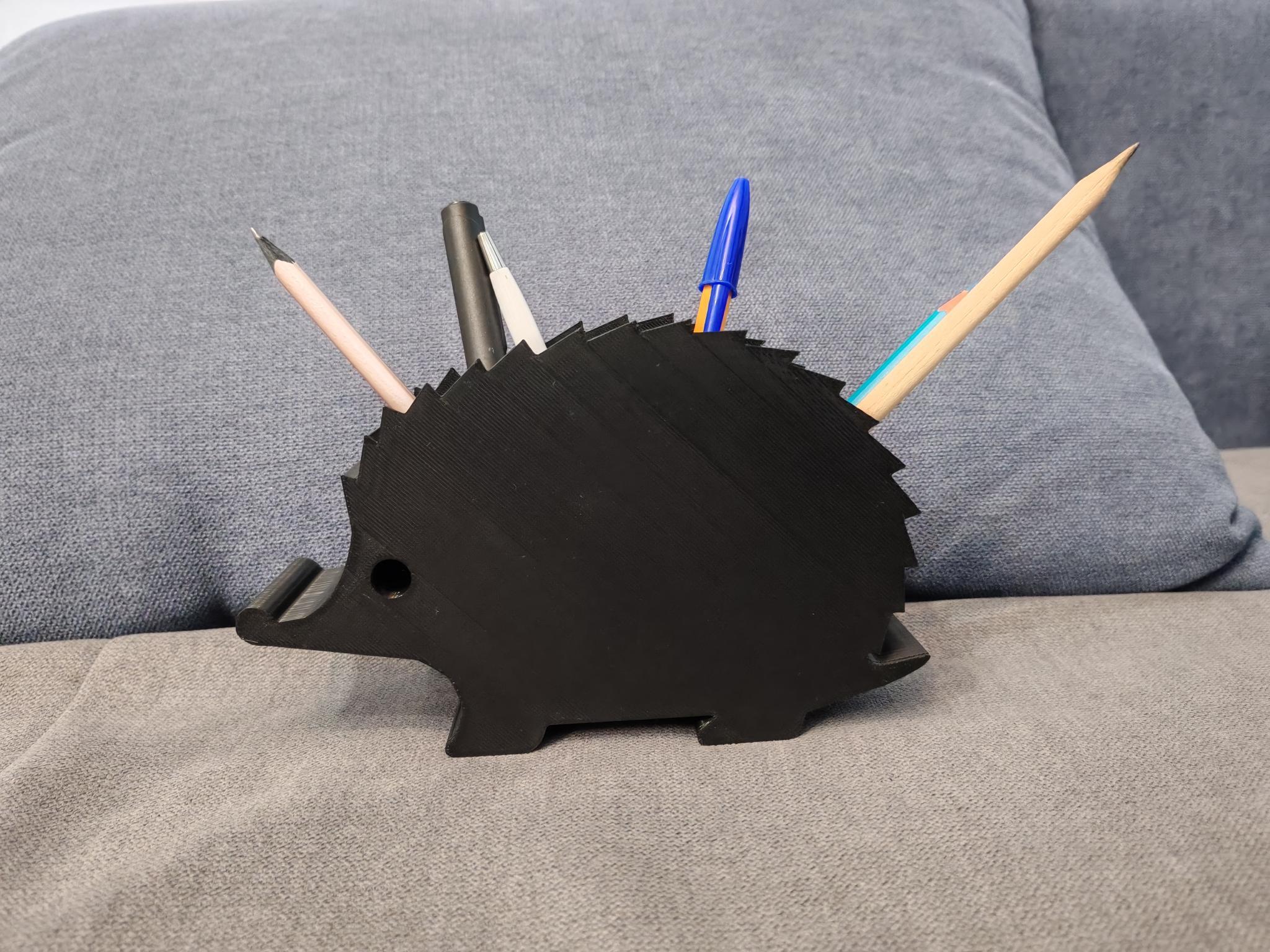 Hedgehog organizer
