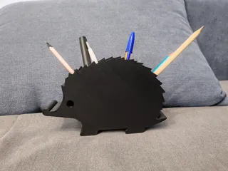 Hedgehog organizer
