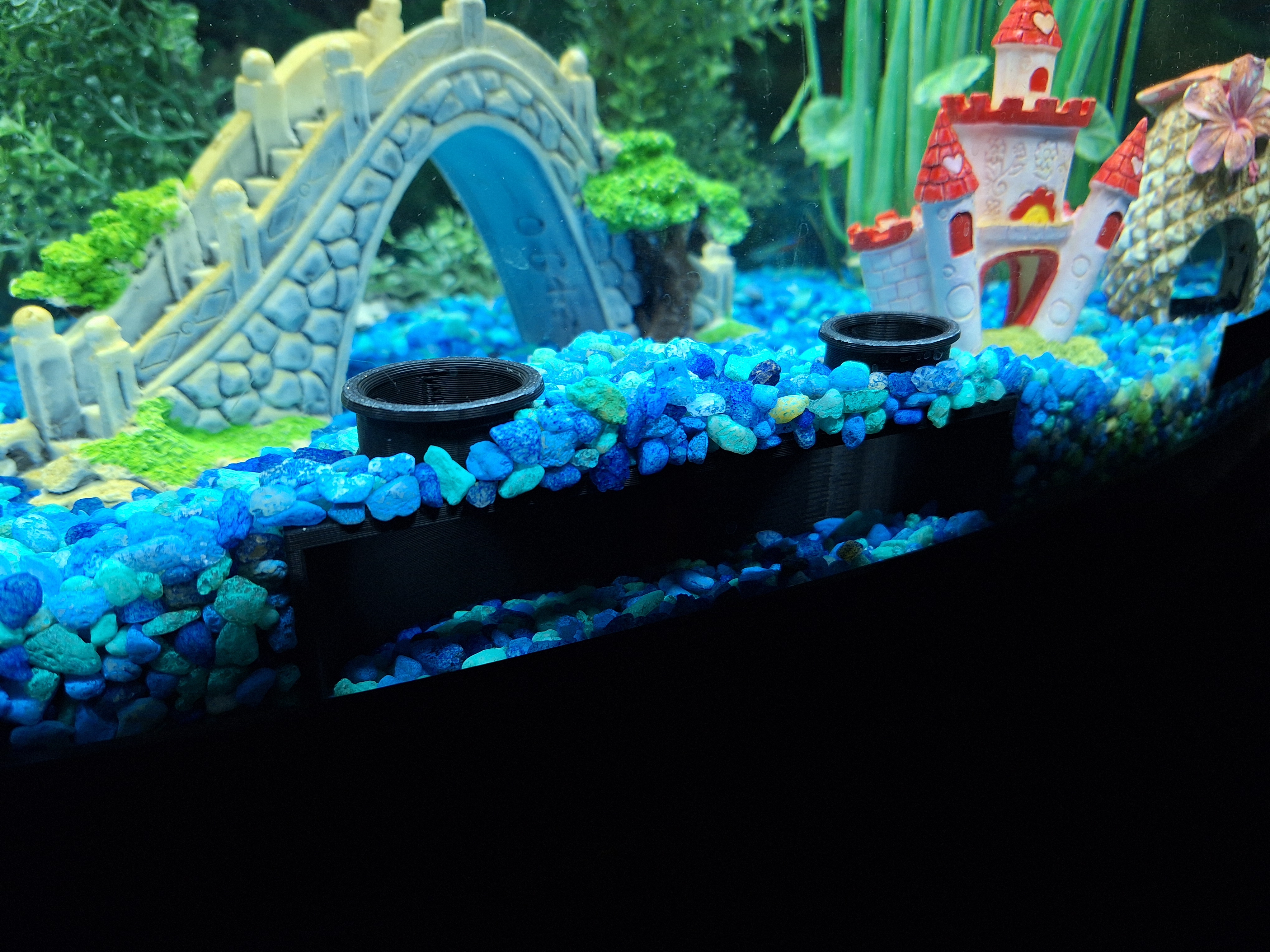 Aquarium Tunnel