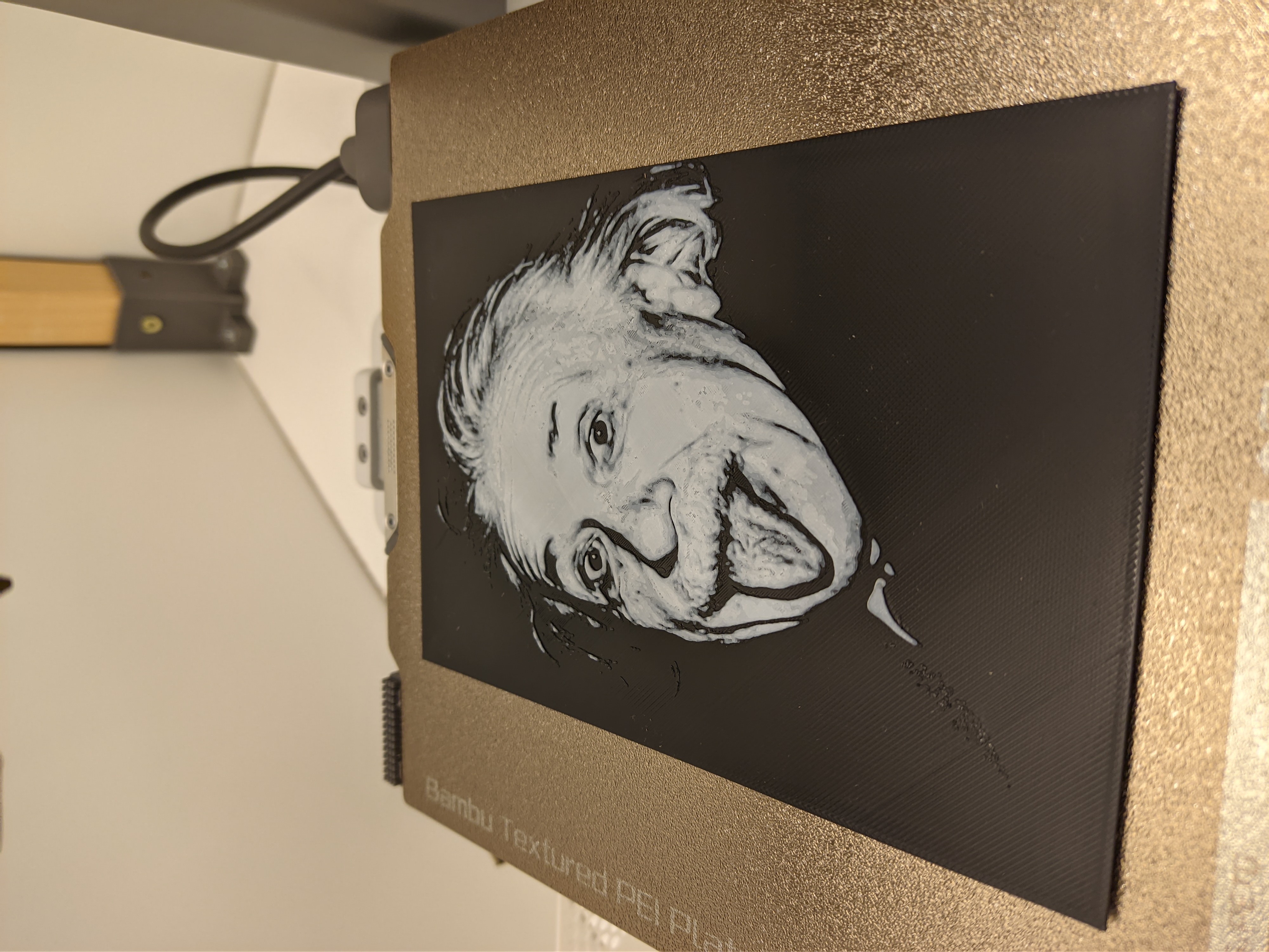 Miniatura 2 do modelo 3D People #1 - Albert Einstein