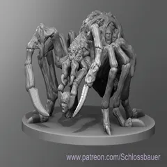 Head Collector