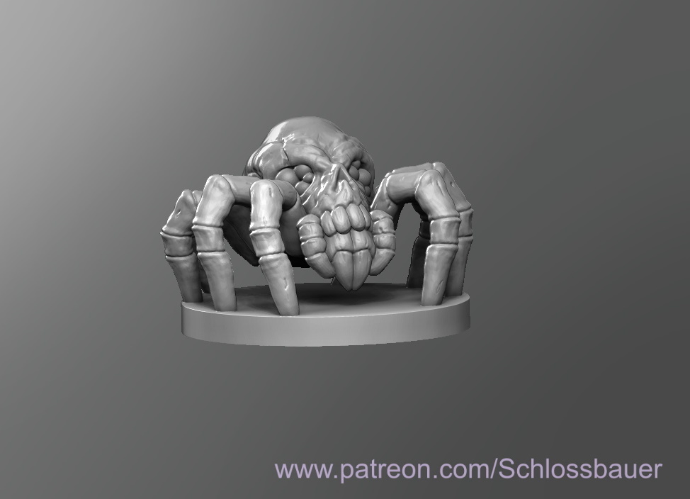 Spider skull