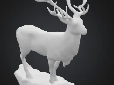 deer