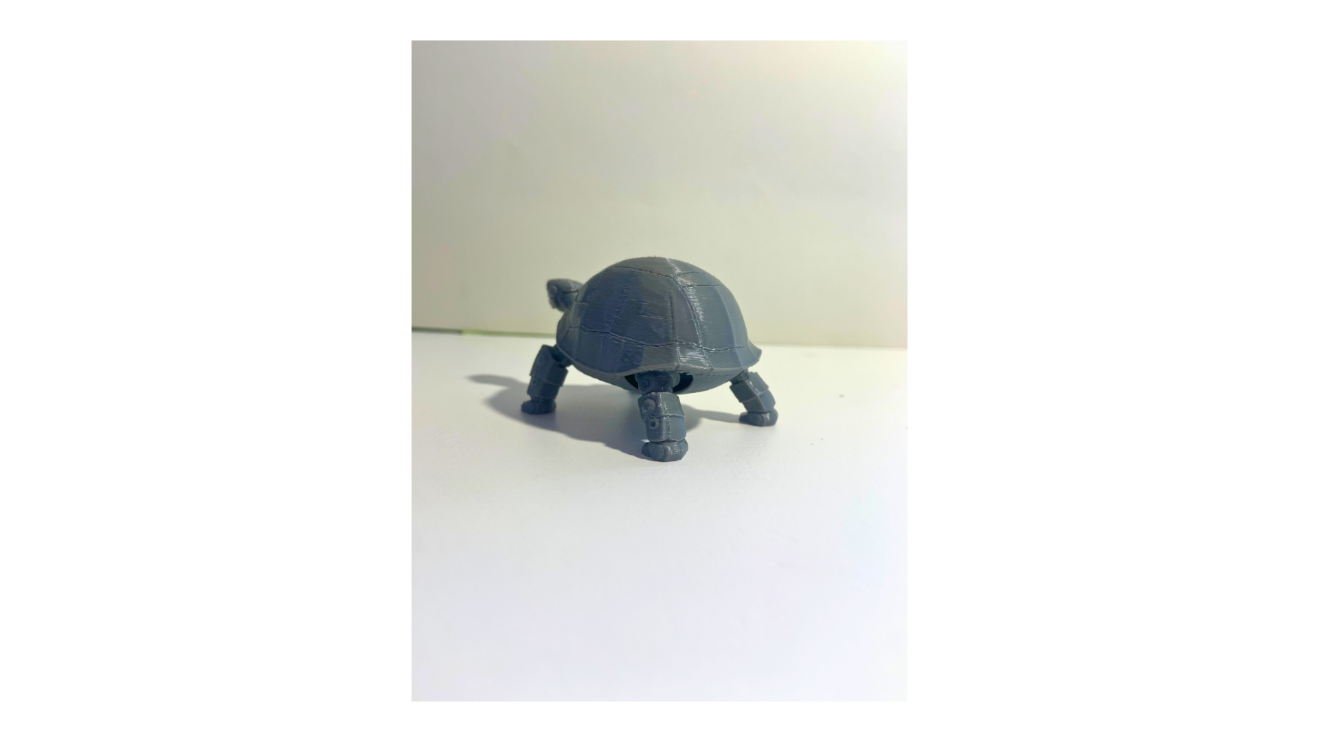 Miniatura 3 do modelo 3D Robot turtle