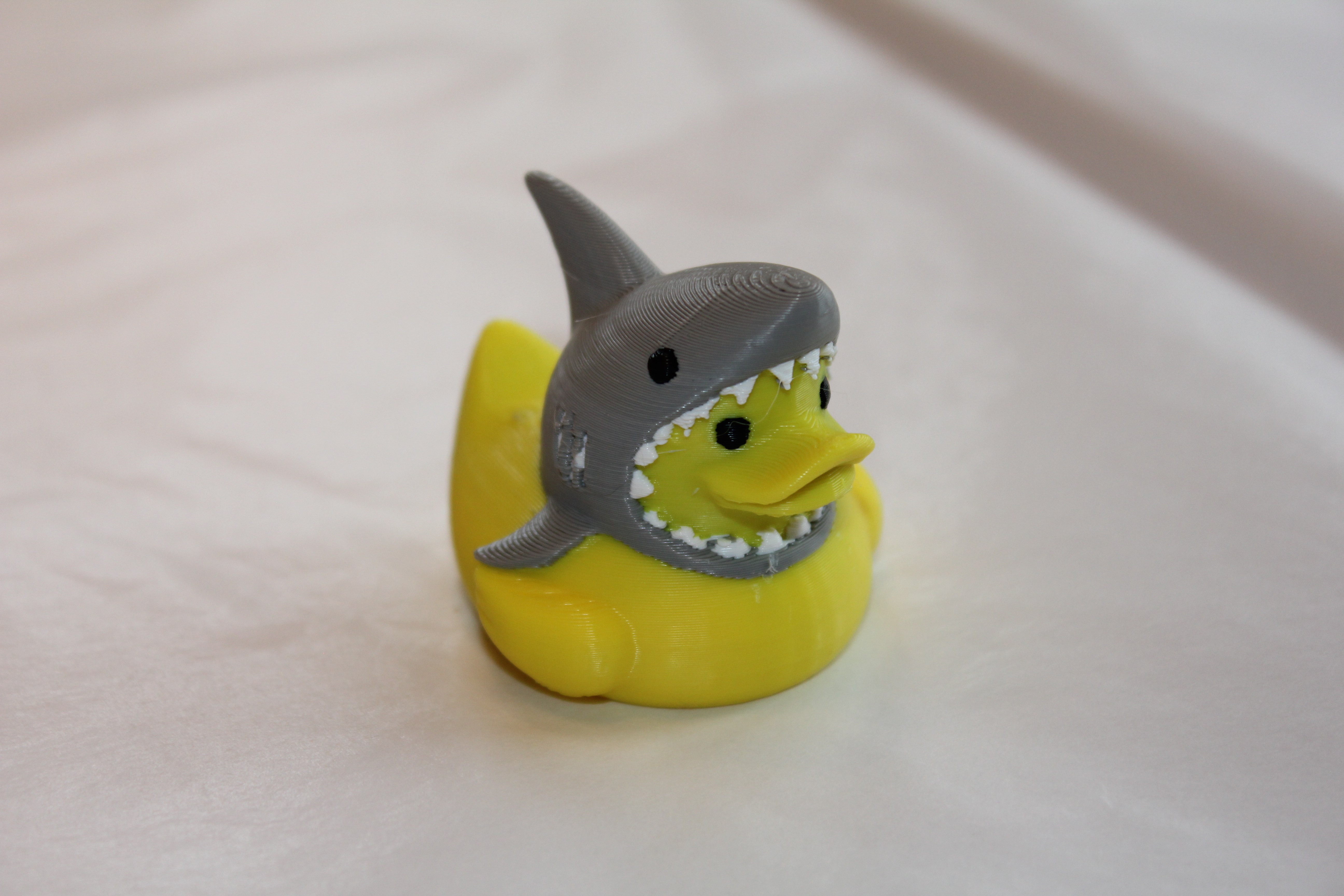 Shark Duck