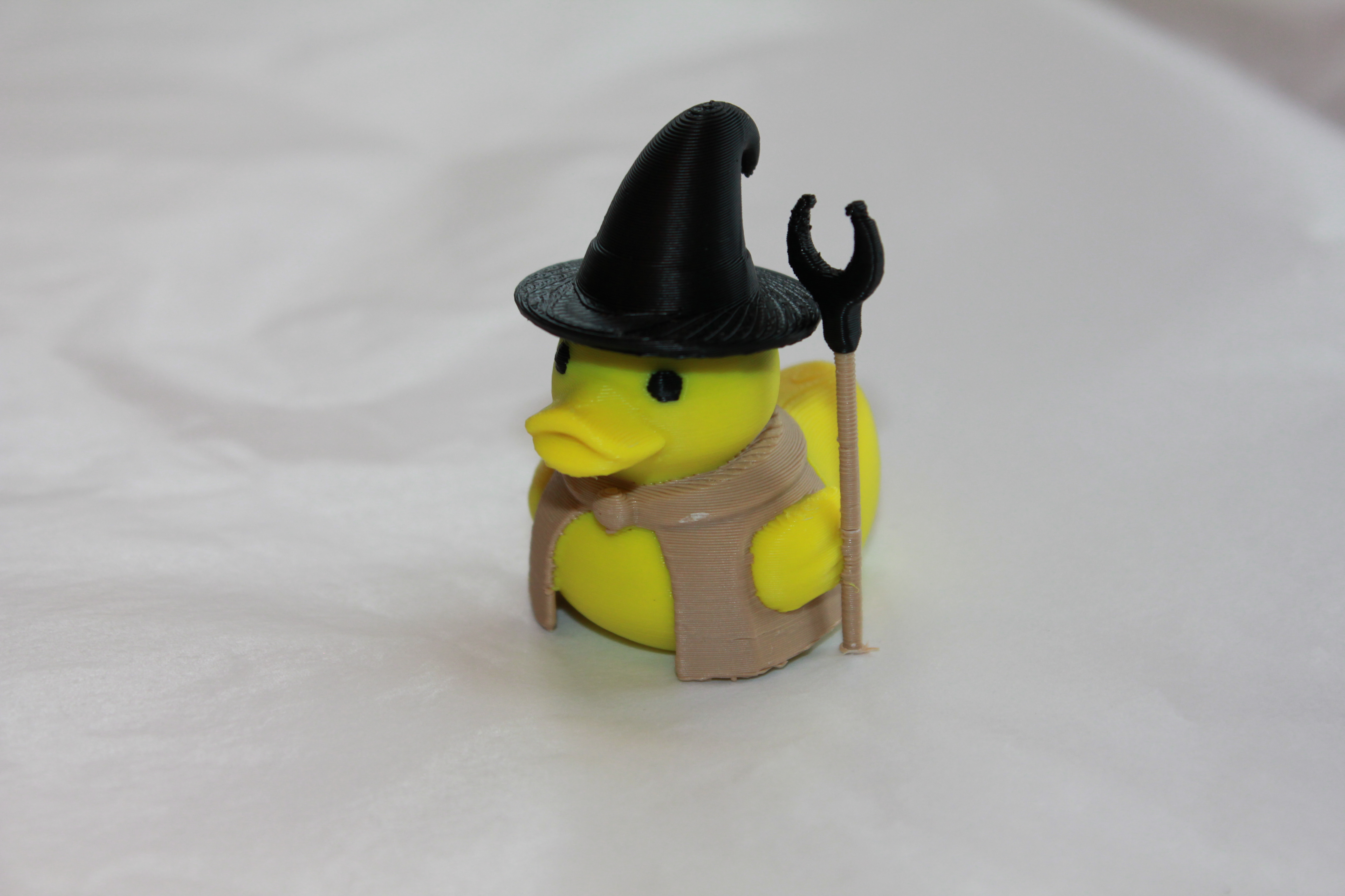 Wizard Duck