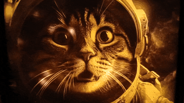 2001:  A Space Kitty Lithophane Light