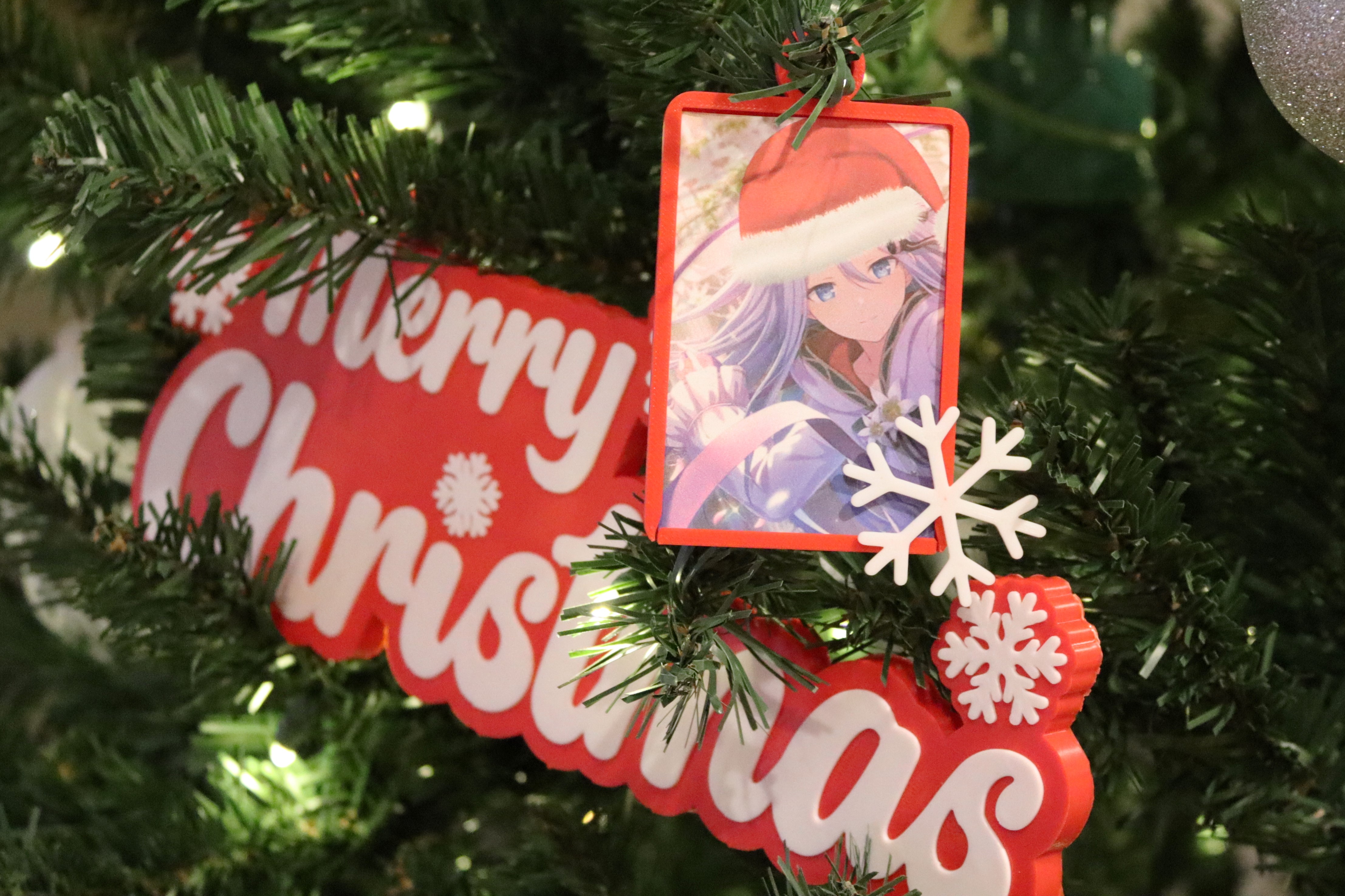 Ornament Picture Frames