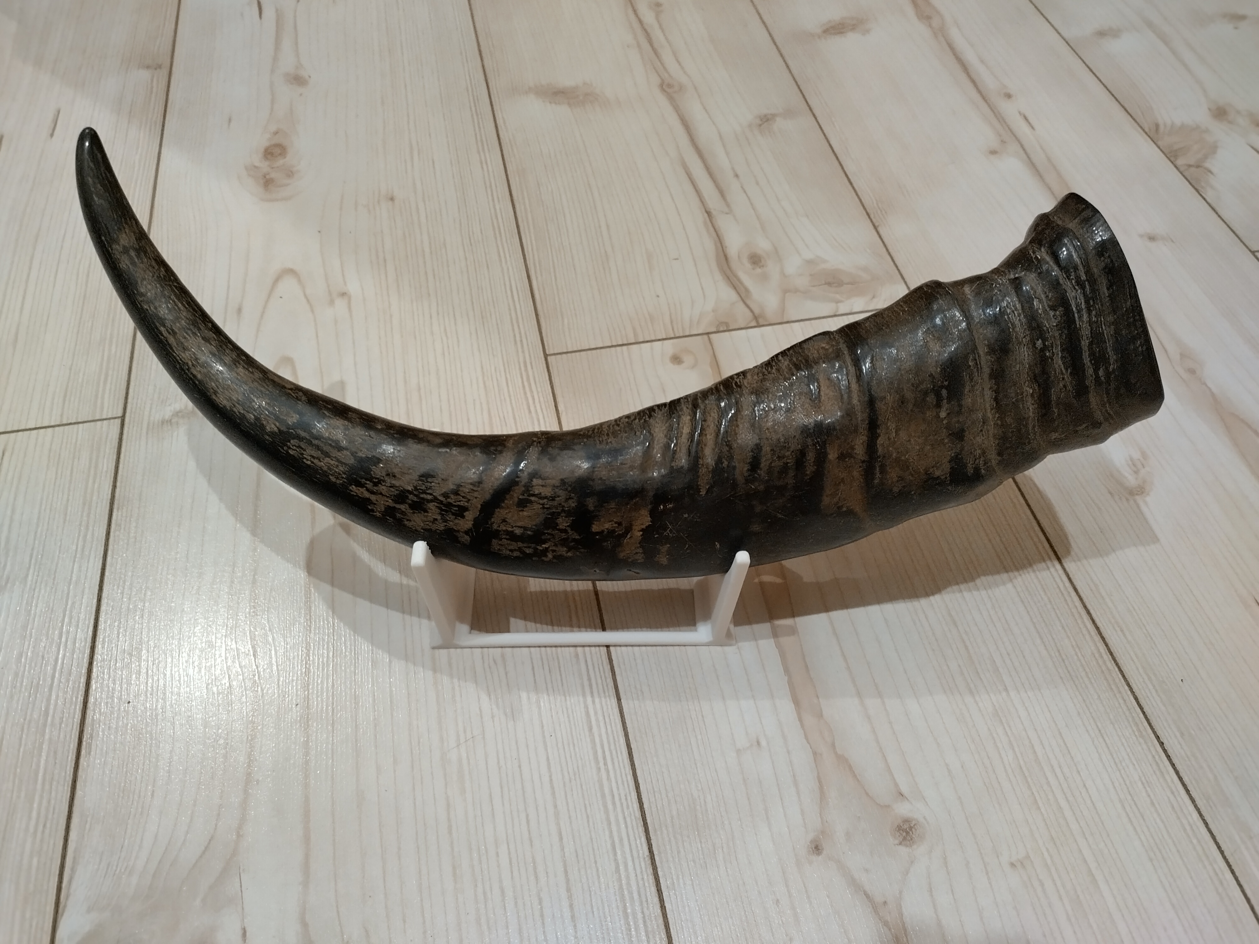 mead horn stand (120mm x 60mm footprint)