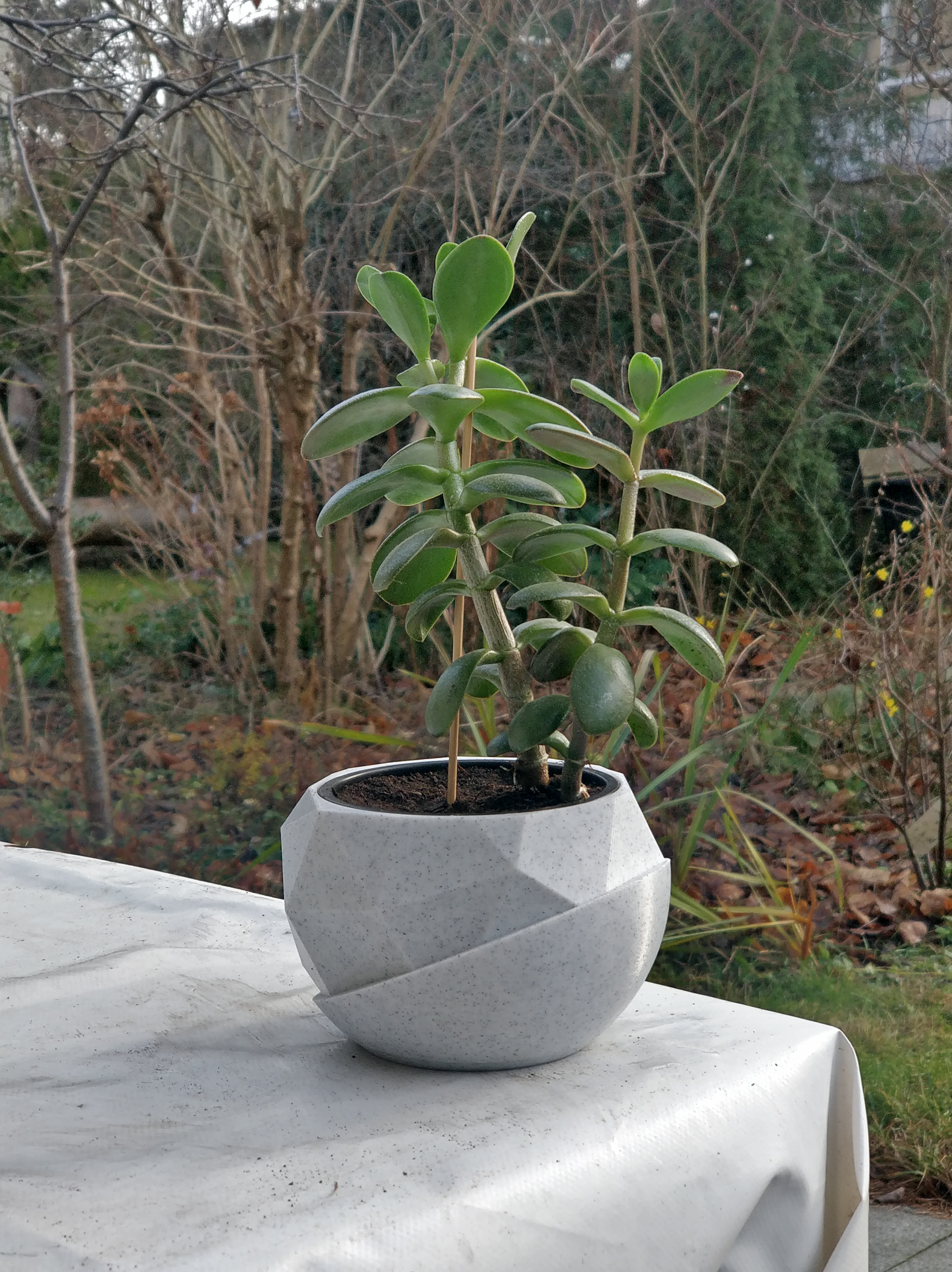 Miniatura 3 do modelo 3D Half and Half Planter