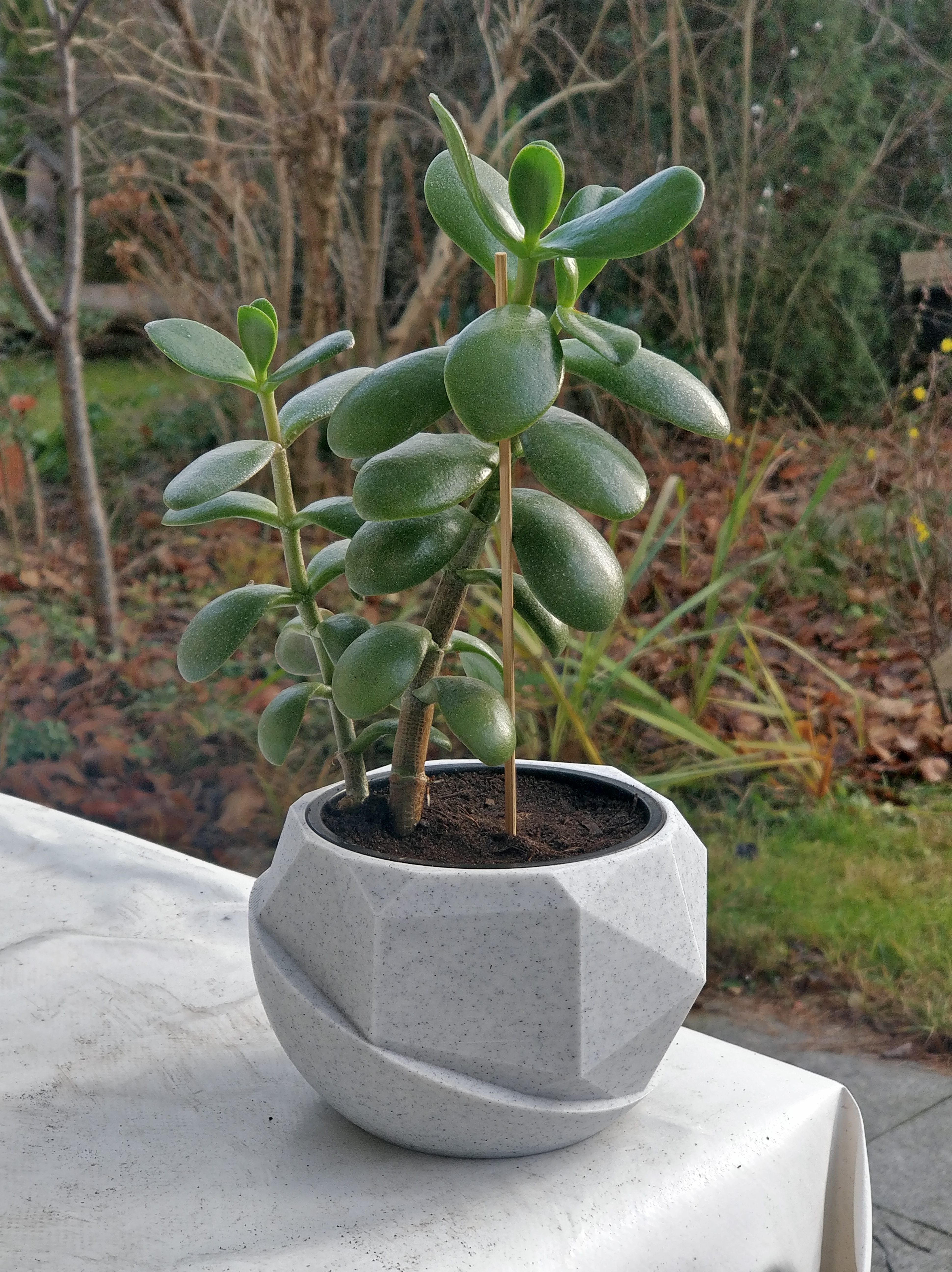 Half and Half Planter