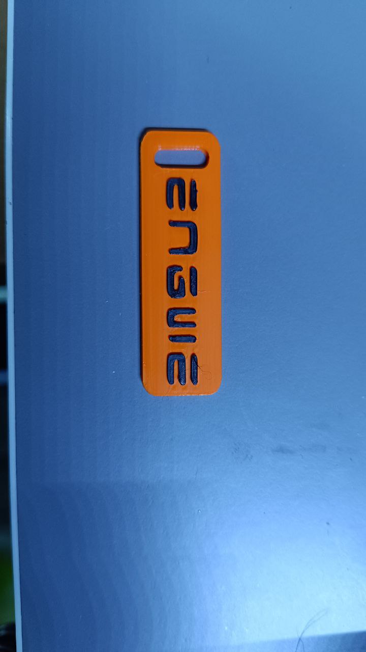 Engwe Keyring keychain